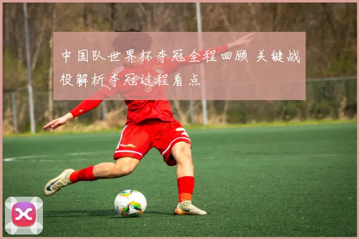中国队世界杯夺冠全程回顾 关键战役解析夺冠过程看点