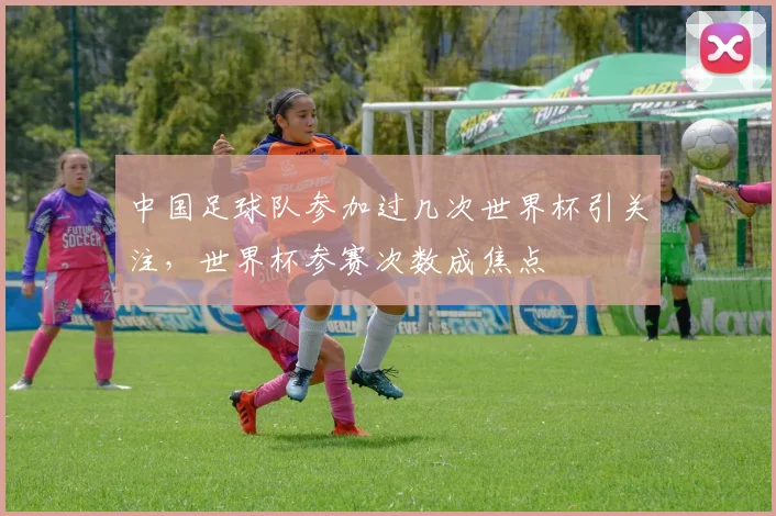 中国足球队参加过几次世界杯引关注，世界杯参赛次数成焦点