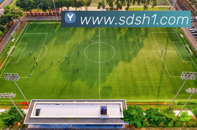 pg国际下载官网平台生态图